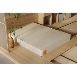 Boring All-Foam Mattress Queen 80x60x10