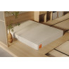 Boring All-Foam Mattress Queen 80x60x10