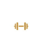 Fitness Equipment
